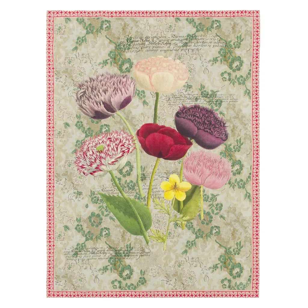 Poppy Study Throw Throws By Designers Guild