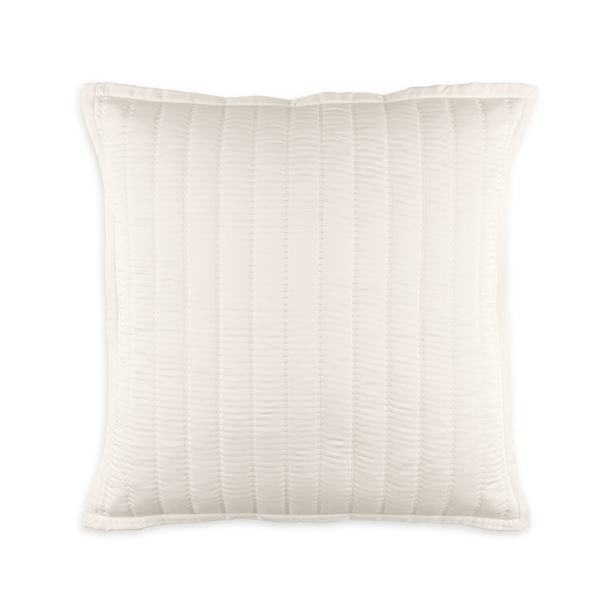 Urban Bamboo Euro Pillow 26" x 26" Throw Pillows By Lili Alessandra