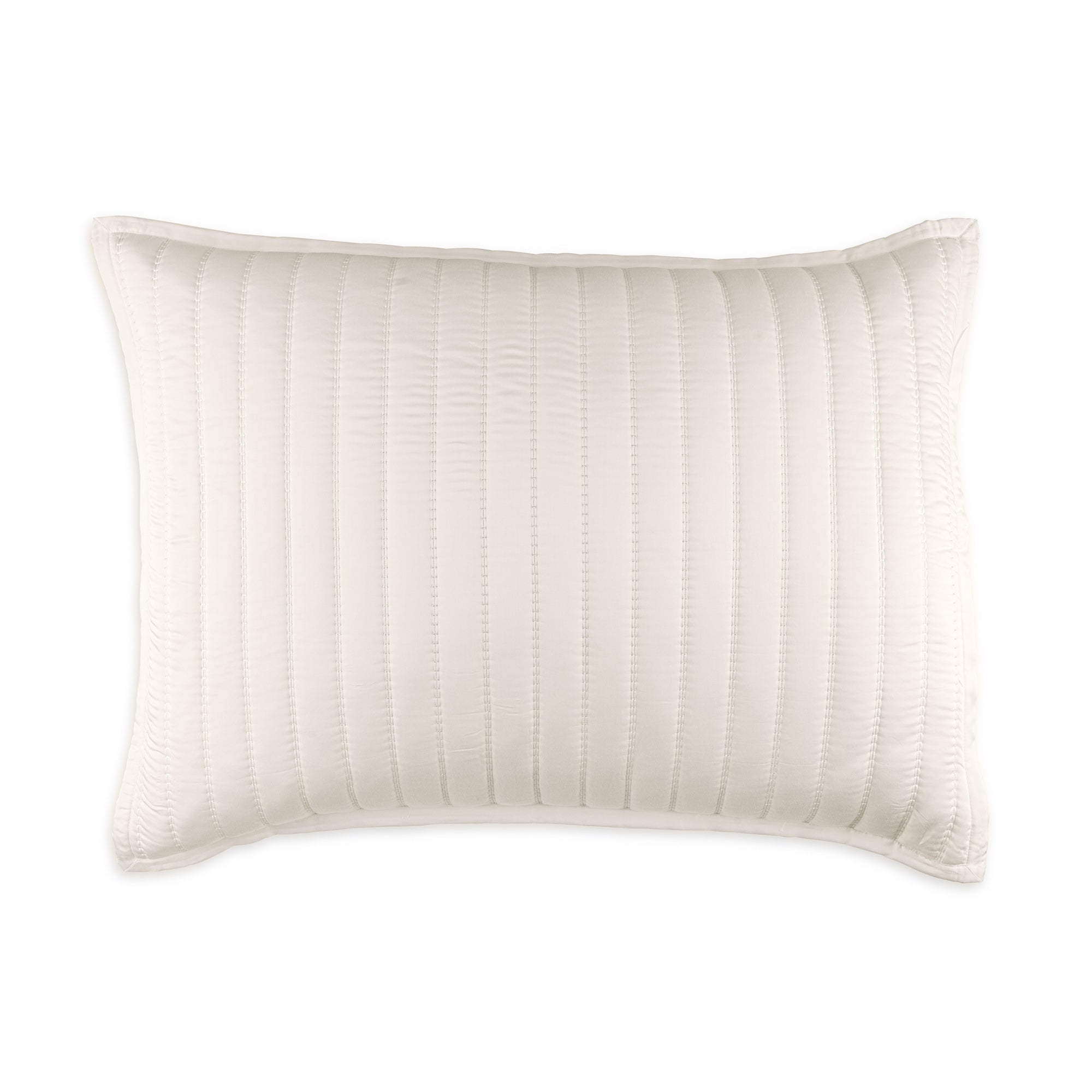 Urban Bamboo Luxe Euro Pillow 36" x 27" Throw Pillows By Lili Alessandra