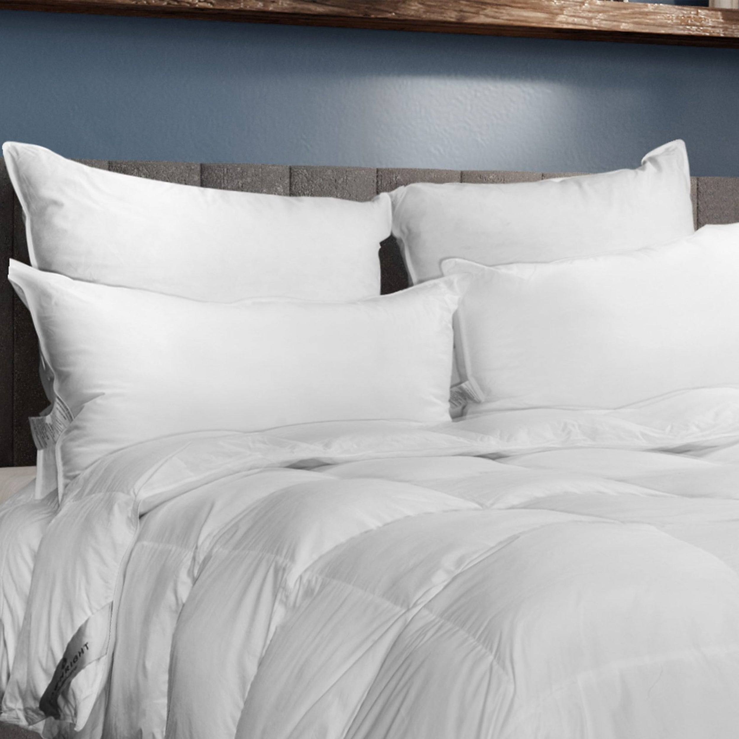 Cascada Summit 600+ Hypoallergenic White Goose Down Pillow Pillow Inserts By Downright
