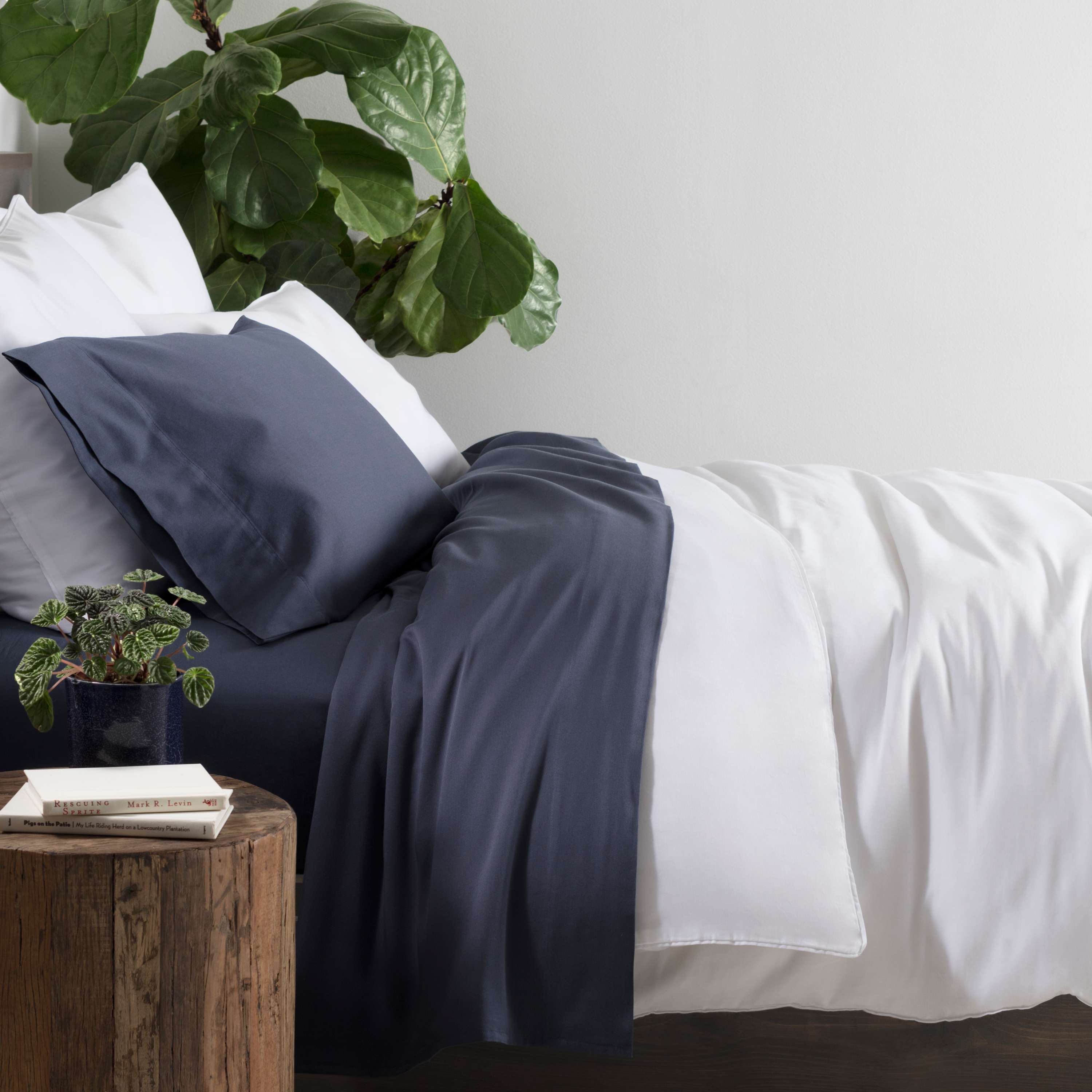 Essential Sateen Pillow Sham Sham By Annie Selke