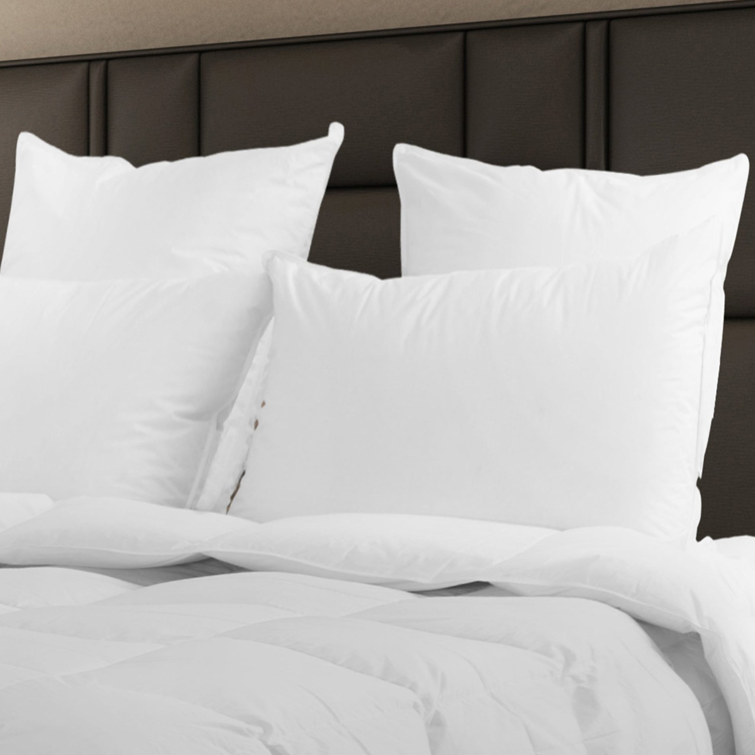 Himalaya 800+ Hypoallergenic Siberian White Goose Down Pillow Pillow Inserts By Downright