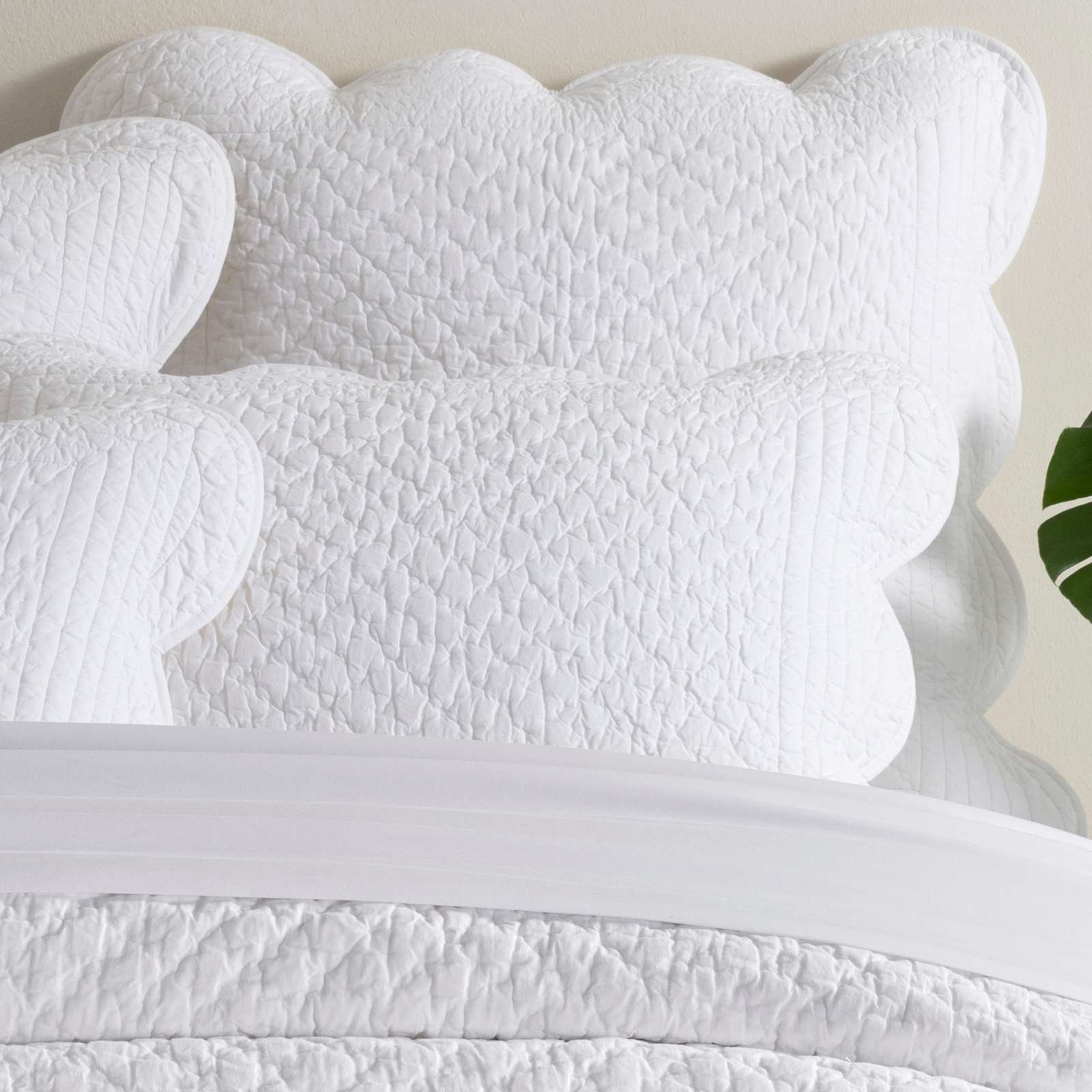 Power Shake Scallop Quilted Sham Sham By Annie Selke