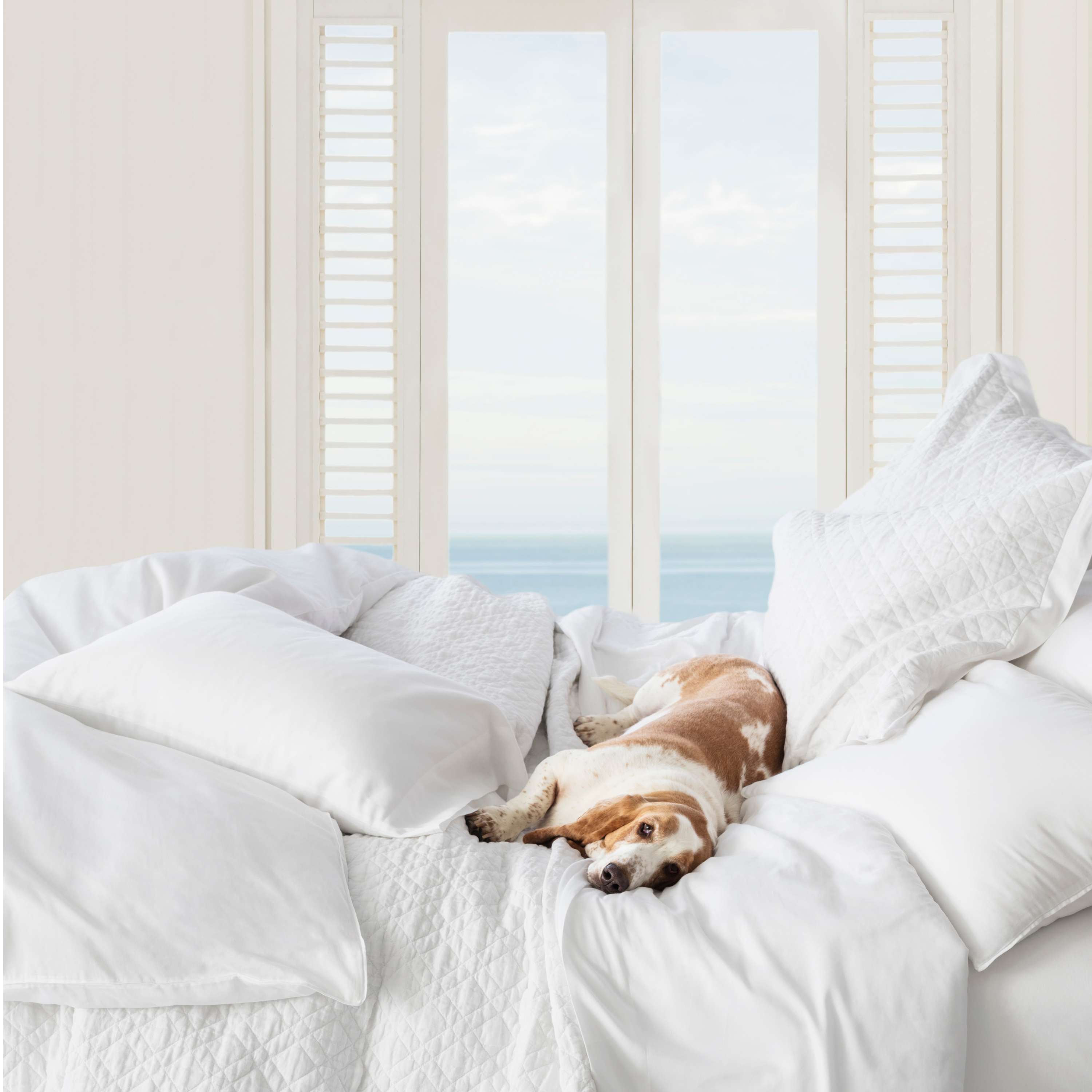 Essential Sateen Duvet Cover Duvet Covers By Annie Selke